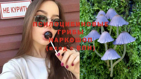 apvp Абинск