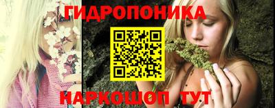 apvp Гай
