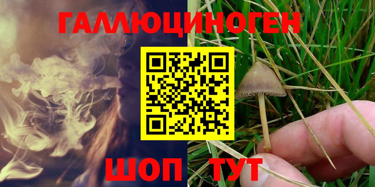 Богданович  Псилоцибиновые грибы GOLDEN TEACHER  Вход с VPN 